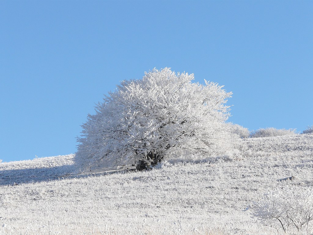 Freezing Fog