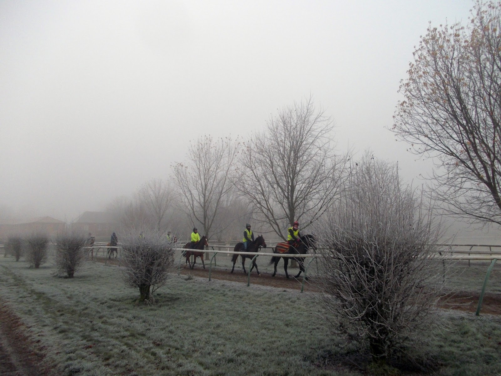 Freezing Fog Images