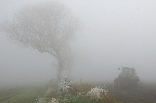 Freezing Fog Images