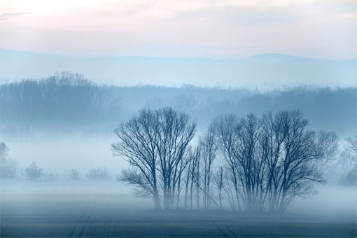 Freezing Fog London