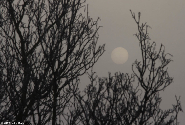 Freezing Fog London