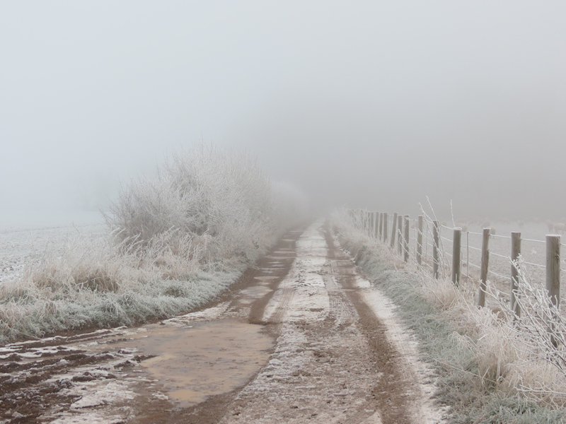 Freezing Fog London