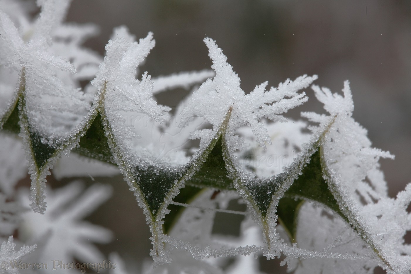 Freezing Fog Pictures