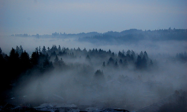 Freezing Fog Portland