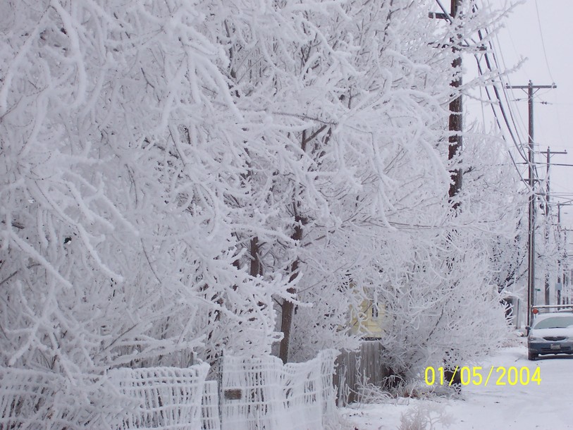 Freezing Fog Portland