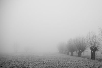 Freezing Fog Portland