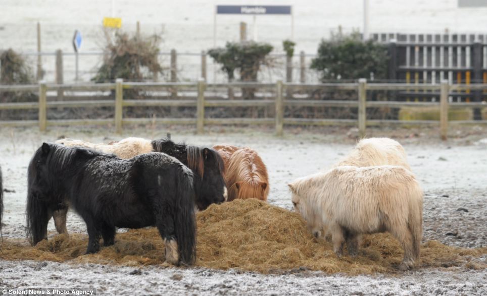 Freezing Fog Warning