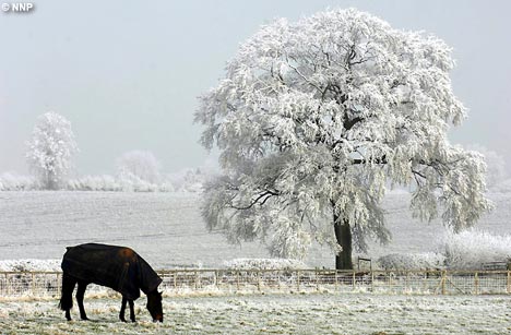 Freezing Fog Wiki