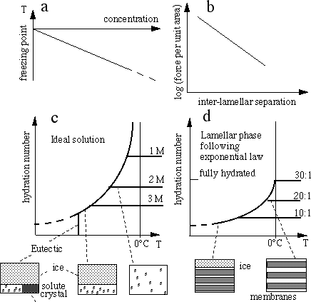 Freezing Point Depression Constant