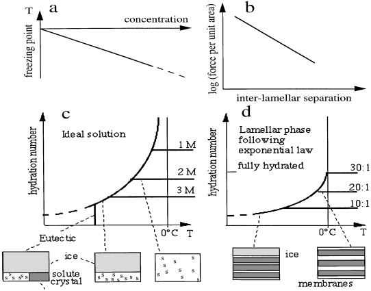 Freezing Point Depression Definition