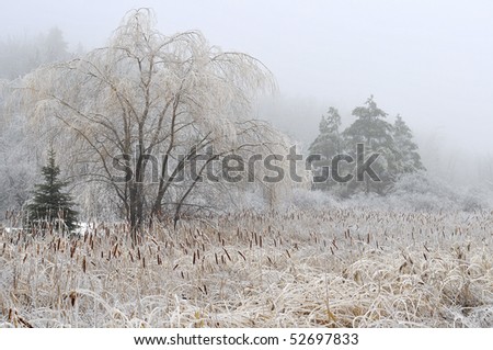 Freezing Rain Clipart