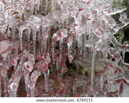 Freezing Rain Clipart