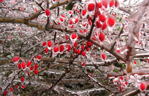 Freezing Rain Images