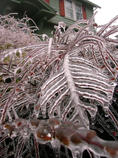 Freezing Rain Images