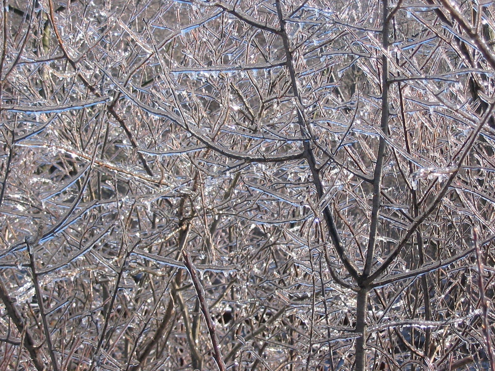 Freezing Rain Images