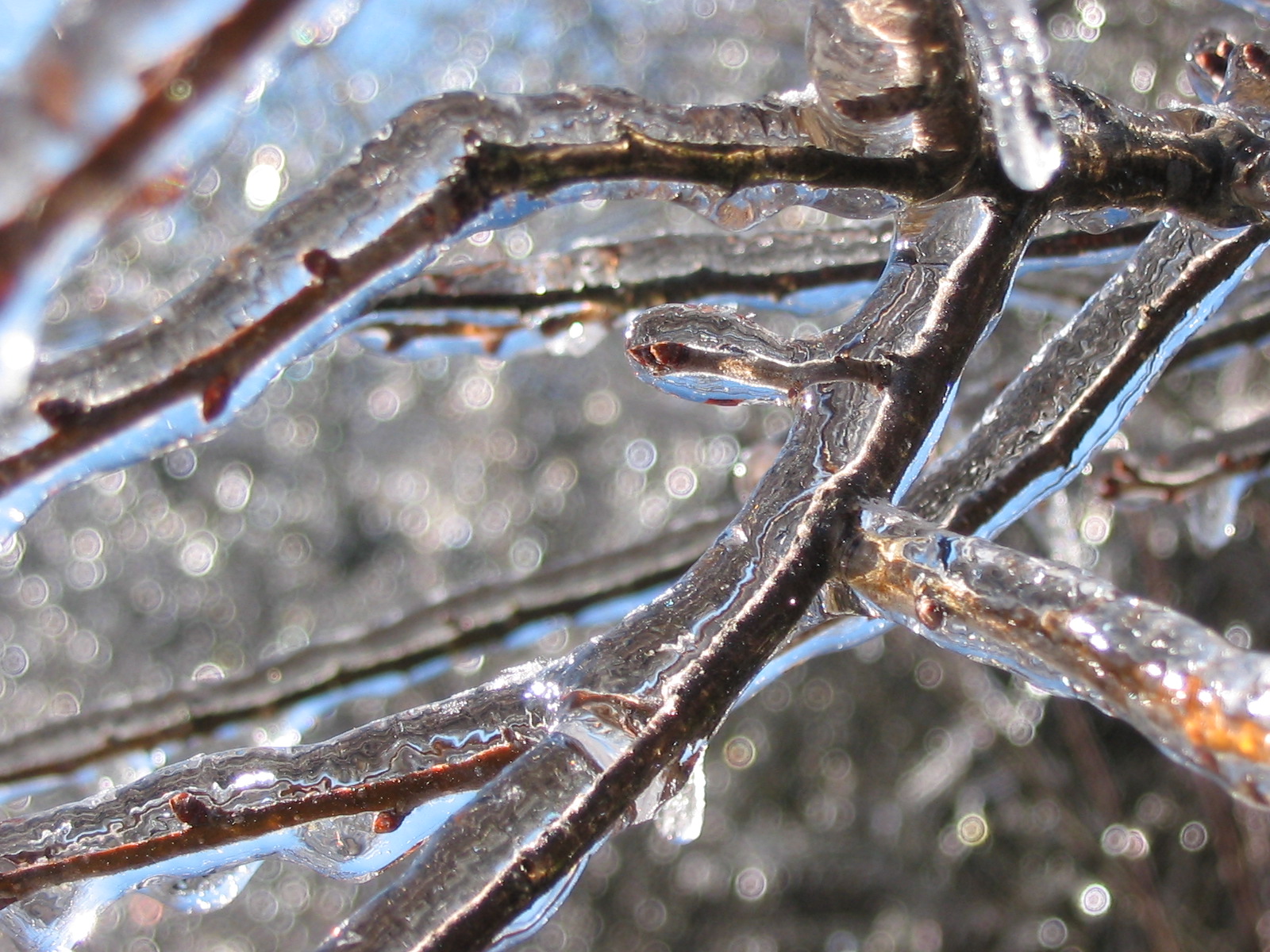 Freezing Rain Images