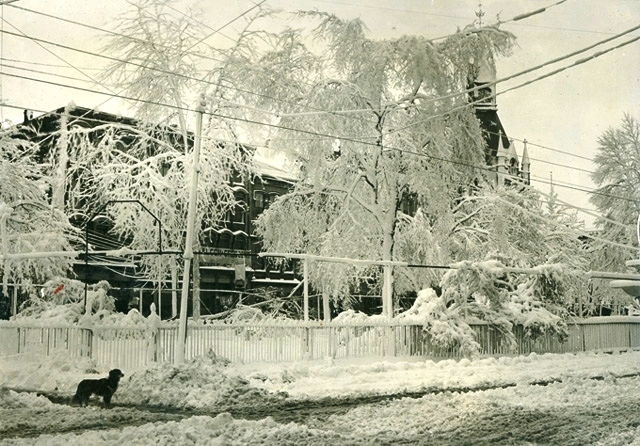 Freezing Rain Montreal