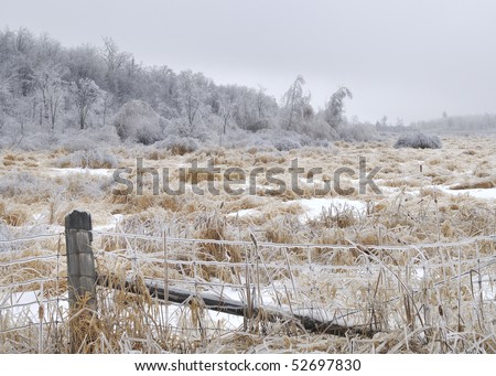 Freezing Rain Ottawa Tuesday