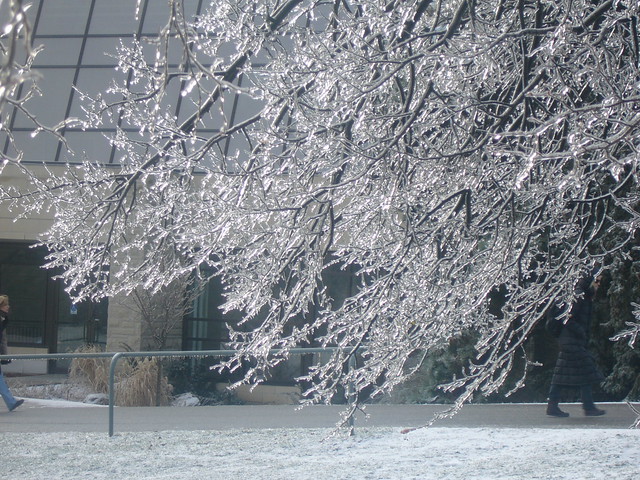 Freezing Rain Pictures