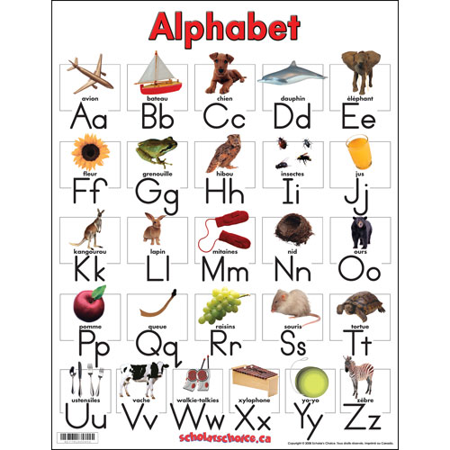 French Phonetics Chart