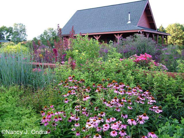 Front Garden Ideas