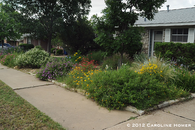 Front Garden Ideas No Grass