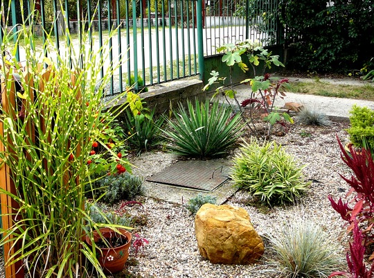 Front Garden Ideas With Gravel