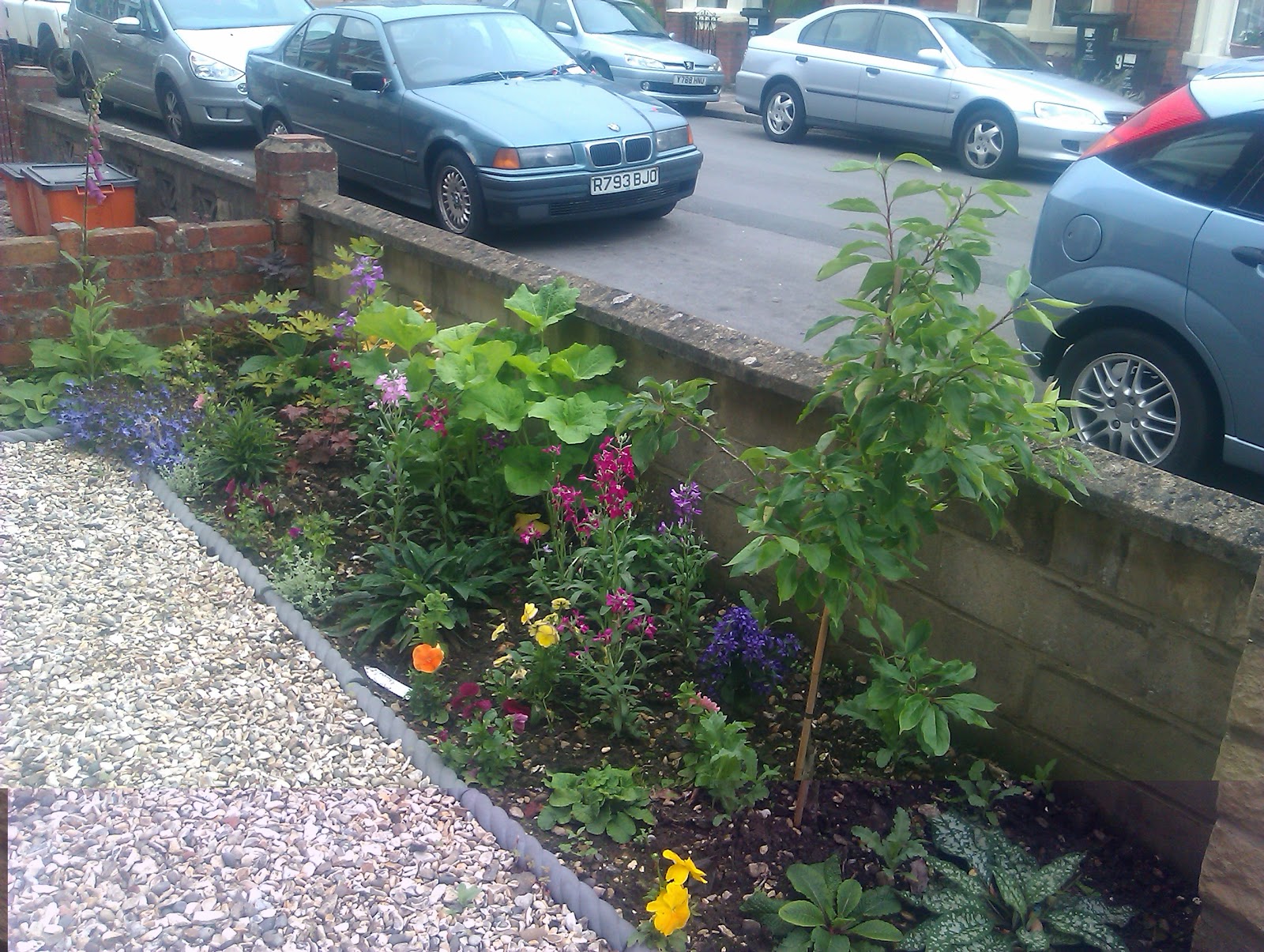 Front Garden Ideas With Gravel