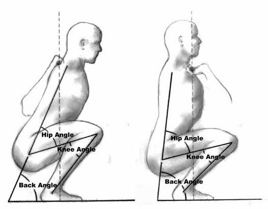 Front Squat Muscles Worked