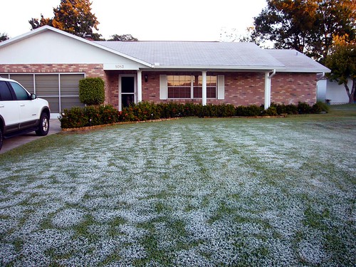 Front Yard Landscaping Ranch