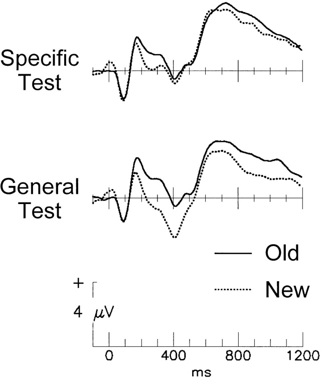 Frontal Lobe Function Test