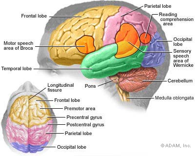 Frontal Lobe Syndrome Causes