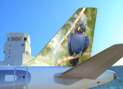 Frontier Airlines Animals