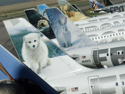 Frontier Airlines Animals