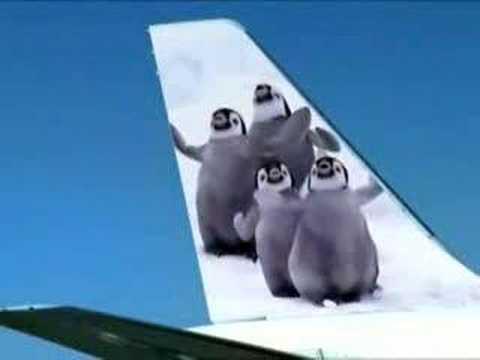 Frontier Airlines Animals