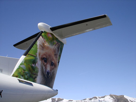 Frontier Airlines Animals