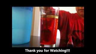 Fun Science Experiments For Kids Youtube