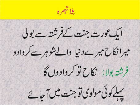 Funny Jokes In Urdu Of Pathan And Sardar