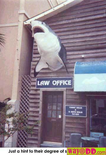 Funny Lawyer Jokes