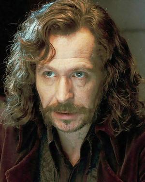 Gary Oldman Sirius Black