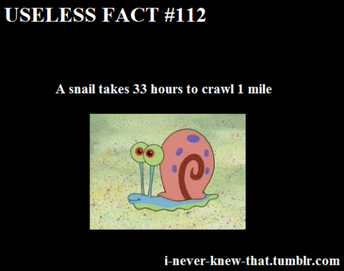 Gary The Snail Meme