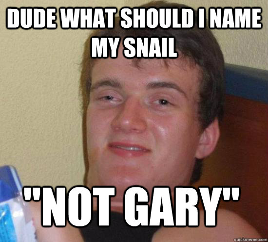 Gary The Snail Meme