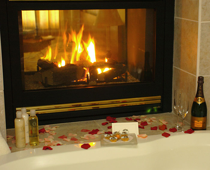 Gas Fireplace Screens Glass