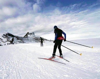 Glacier 3000 Alpine Coaster