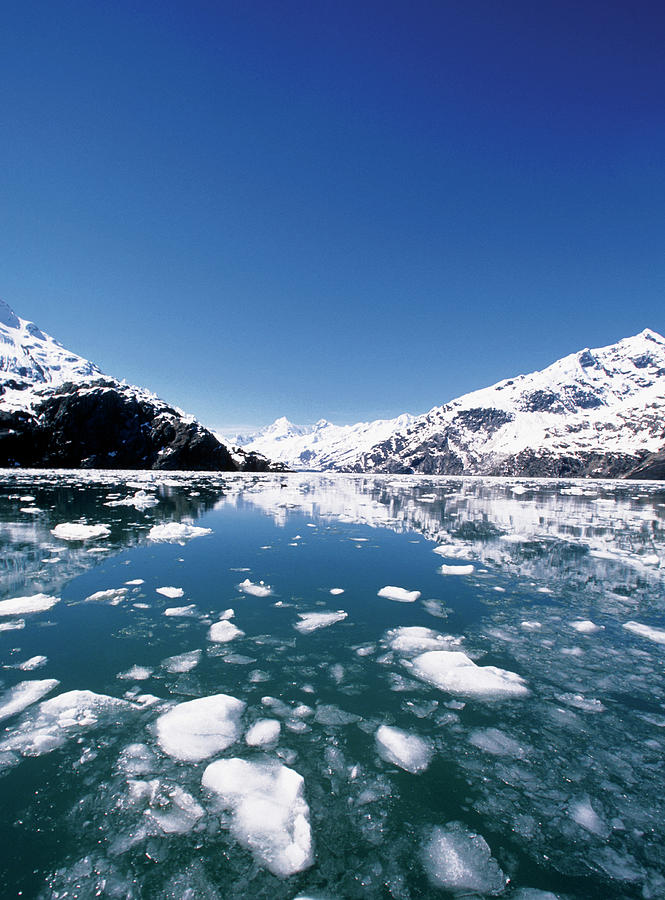 Glacier Bay Alaska Jobs