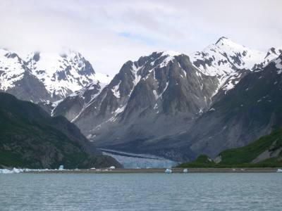 Glacier Bay Alaska Succession