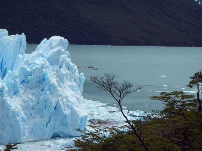 Glacier Bay Boats Bankruptcy