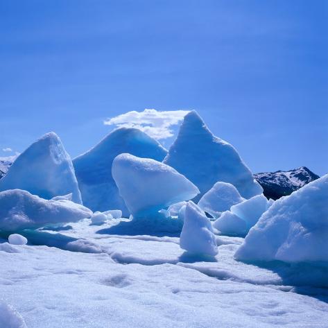 Glacier Bay National Park Alaska