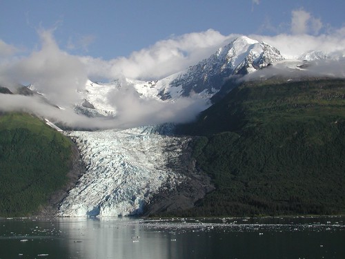 Glacier Bay National Park Cruise