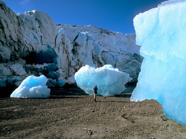 Glacier Bay National Park Facts